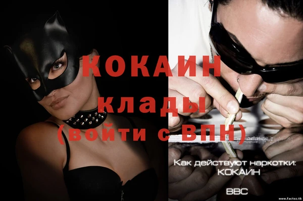 хмурый Абаза