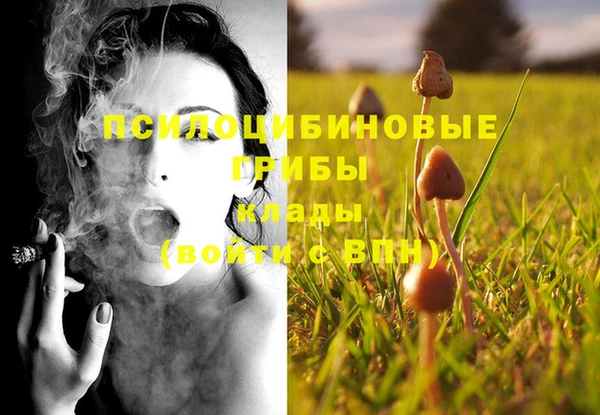 бошки Сафоново