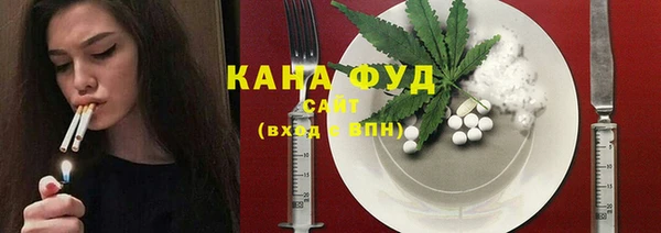 индика Саяногорск