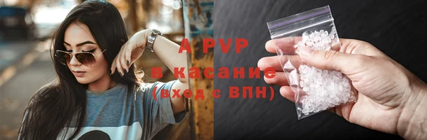 хмурый Абаза