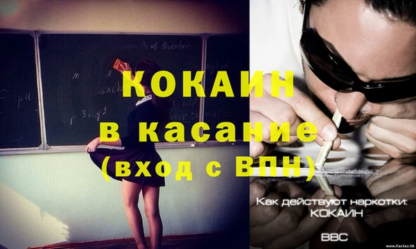 индика Саяногорск