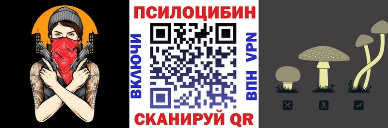 Псилоцибиновые грибы прущие грибы  Духовщина 